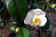 DSCF9471_R
