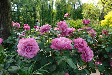 DSC07158_R