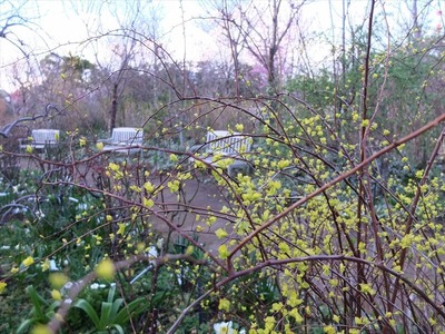 DSCF4719_R