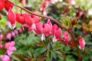 DSCF0675_R