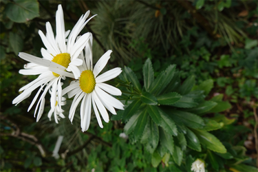 DSC08316_R
