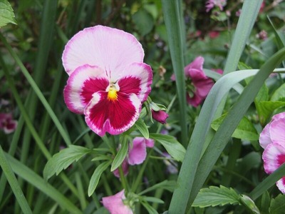 DSCF2562_R