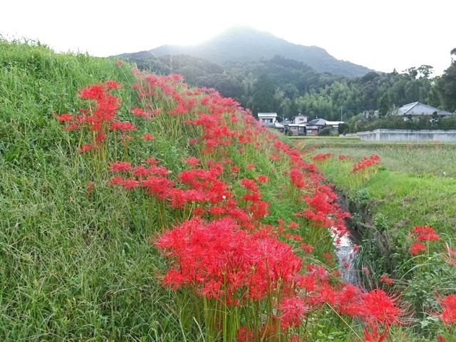 DSCF4020_R