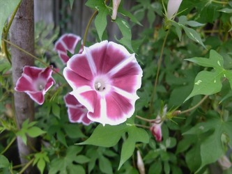 DSCF1477_R