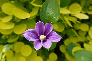 DSC07003_R