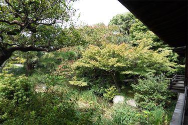 DSC09957_R
