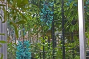 DSCF2708_R