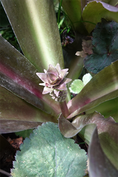DSC08509_R