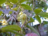 DSCF5485_R