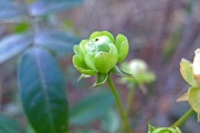 DSCF8453_R