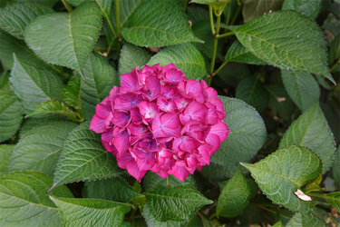 DSC08083_R