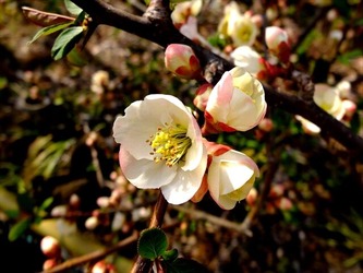 DSCF8843_R
