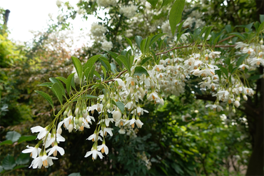 DSC07462_R