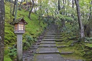 DSCF7537_R