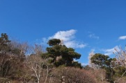 DSCF0761_R