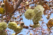 DSCF0697_R