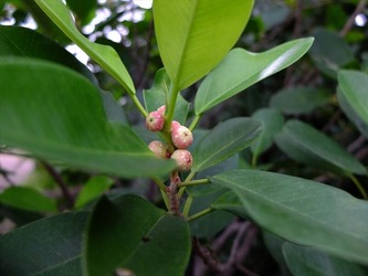 DSCF6132_R