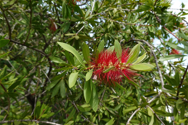 DSC07638_R