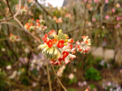DSCF1364_R