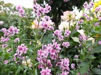 DSCF0073_R