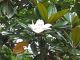 DSCF2590_R