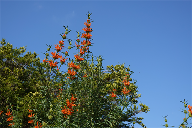 DSC03777_R