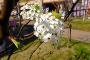DSCF1977_R
