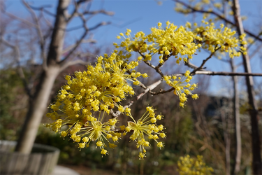 DSC05852_R