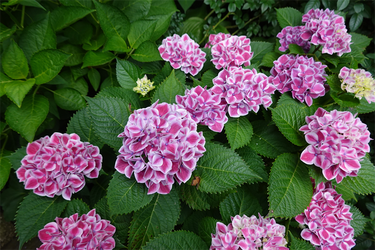 DSC08315_R