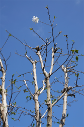 DSC06390_R
