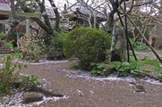 DSCF2320_R