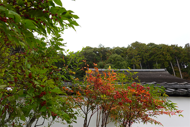 DSC03607_R