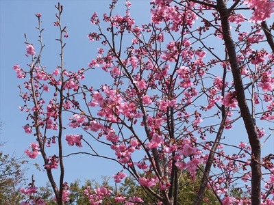 DSCF7885_R