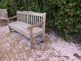 DSCF8402_R
