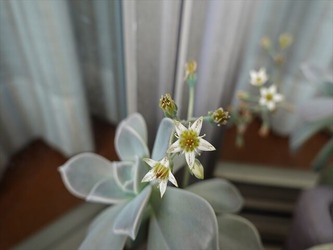 DSC00024_R