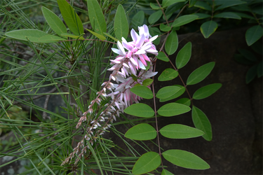 DSC08710_R