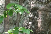 DSCF2730_R