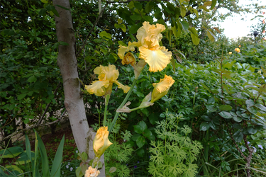 DSC06842_R