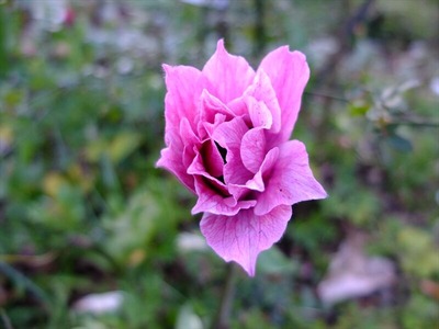 DSCF4758_R