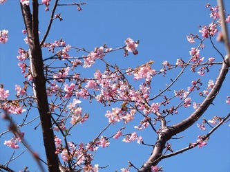 DSCF8266_R
