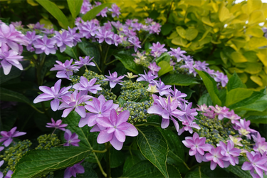 DSC08047_R