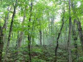 DSCF0848_R