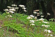 DSCF5366_R
