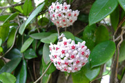 DSCF4315_R