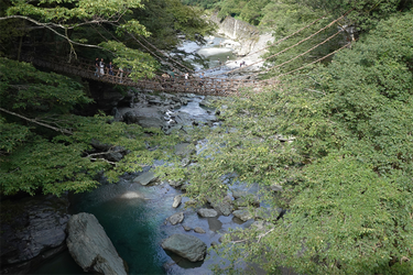 DSC09396_R