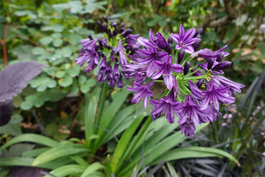 DSC08390_R