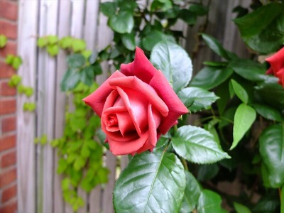 DSCF3269_R