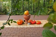 DSCF6352_R