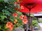 DSCF2617_R