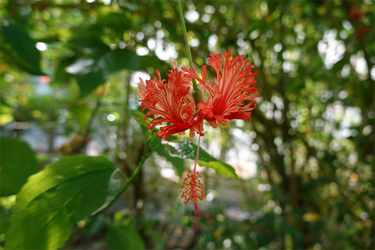 DSC03847_R